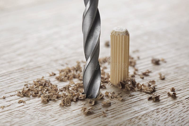 Drill Bit Makes Hole in Wooden Oak Board for Wooden Dowel Stock Image