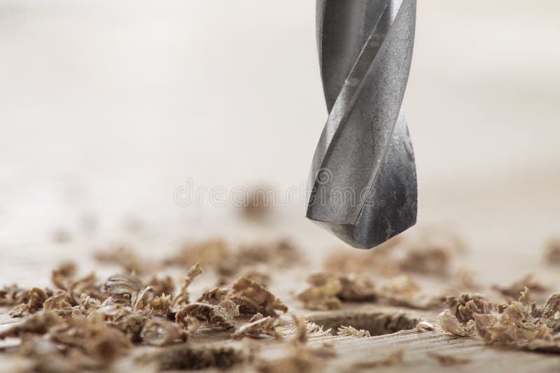 Drill Bit Makes Hole in Wooden Oak Board for Wooden Dowel Stock Image