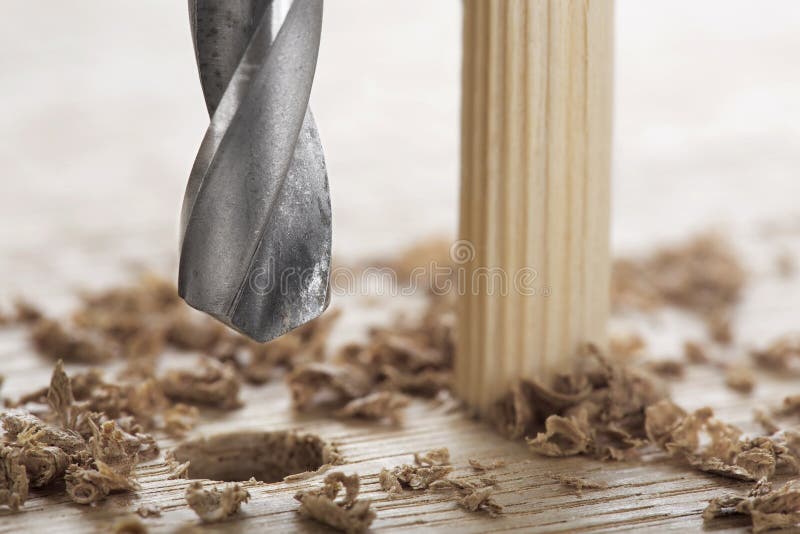 Drill Bit Makes Hole in Wooden Oak Board for Wooden Dowel Stock Image