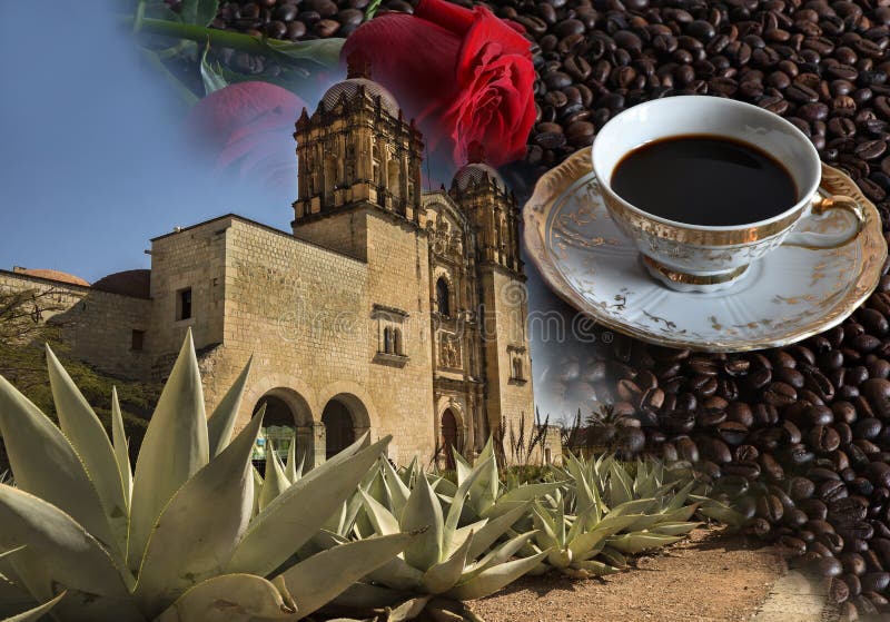 Drink And Food Mexico, Oaxaca Coffee Beans Stock Image - Image of attraction, food: 168169413