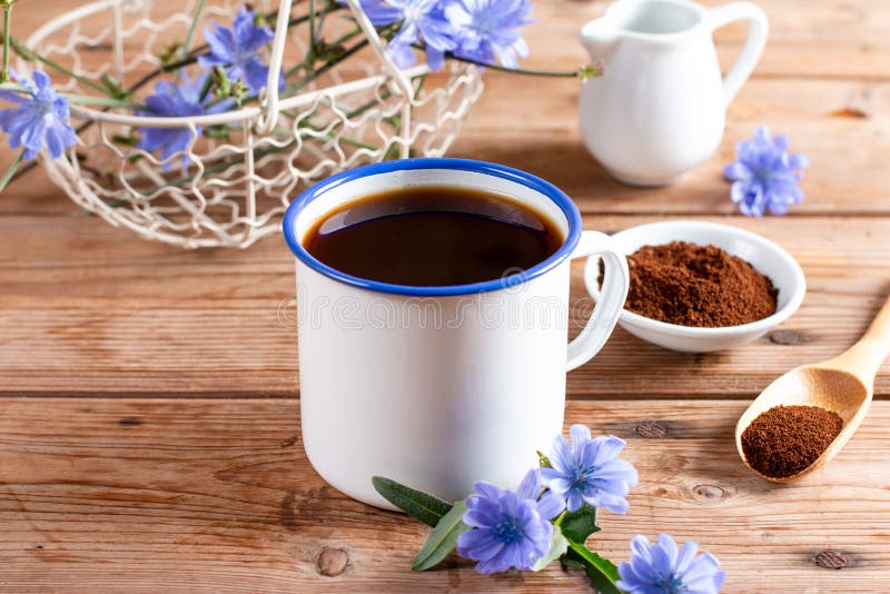 Drink made of chicory roots in cup, blooming chicory plants and spoon with granulated chicory root powder on wooden table.