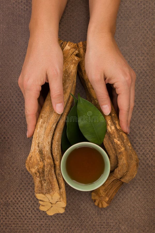 How to make ayahuasca tea from powder