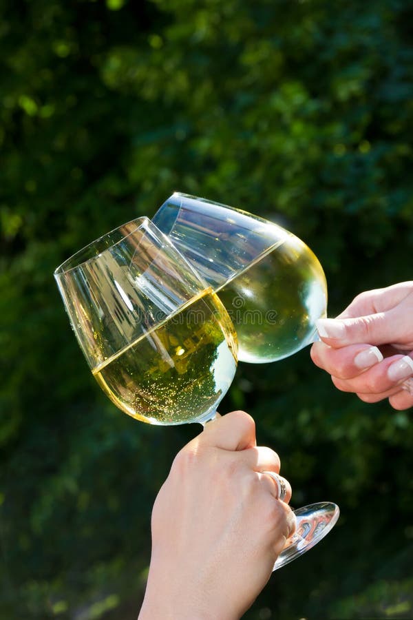 Glasses of White Wine Making a Toast Stock Photo Image of hands