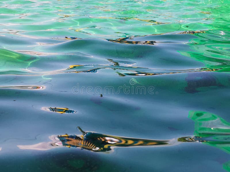 drinking water. a living source stock images drinking water. a living source stock images