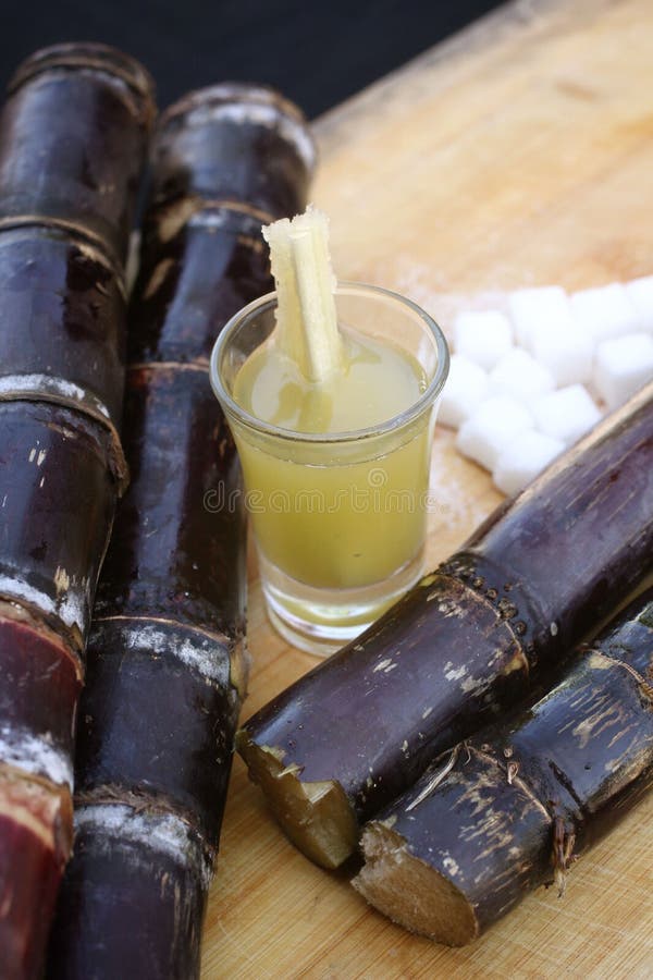 Drinks sugar cane. stock photo. Image of fresh, beet 35429340