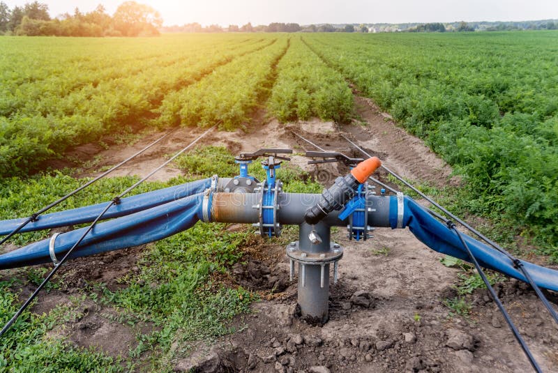 Drip Irrigation System. Water Saving Drip Irrigation System Stock Photo Image of fertilizer
