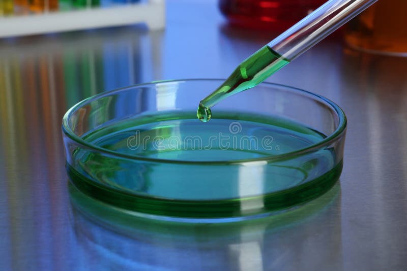 Liquid and Petri Dish in a Laboratory Stock Image Image of sience