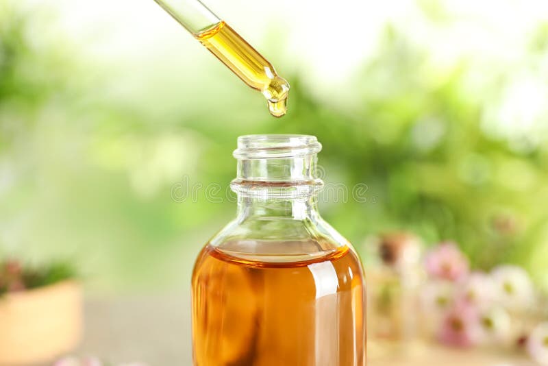 Dripping natural tea tree essential oil into bottle on blurred background, closeup