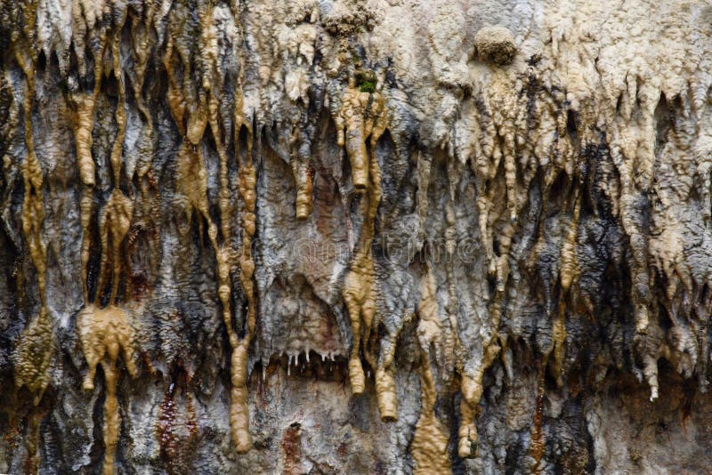 The side of a cave wall in south Australia. The side of a cave wall in south Australia.