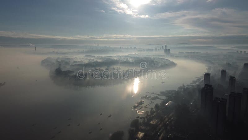 Driva flyget ovanför Donau i dimman på morgonen. arkivfoto