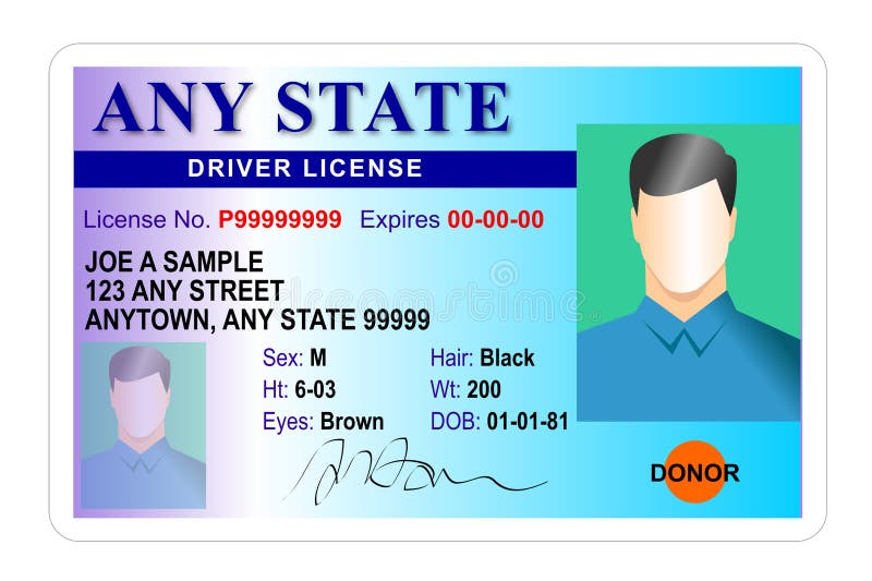 Vector template of sample driver license plastic card for USA