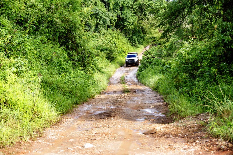 Driving Off-Road on Remote Dirt Road