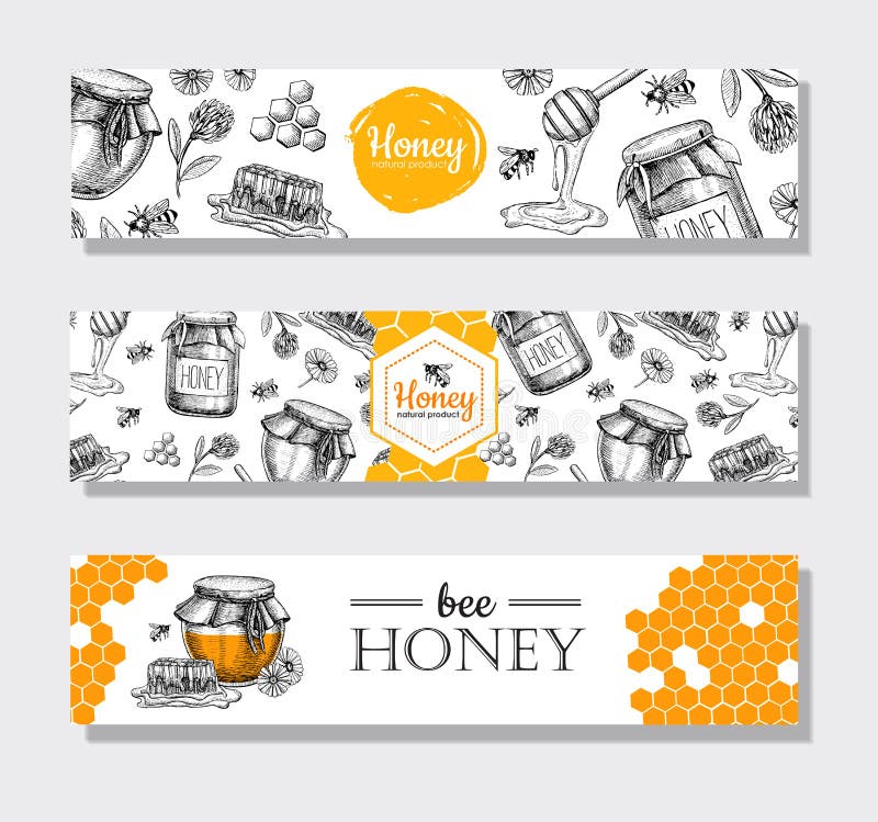 Drog honungbaner för vektor hand Detaljerad honung inristad illust