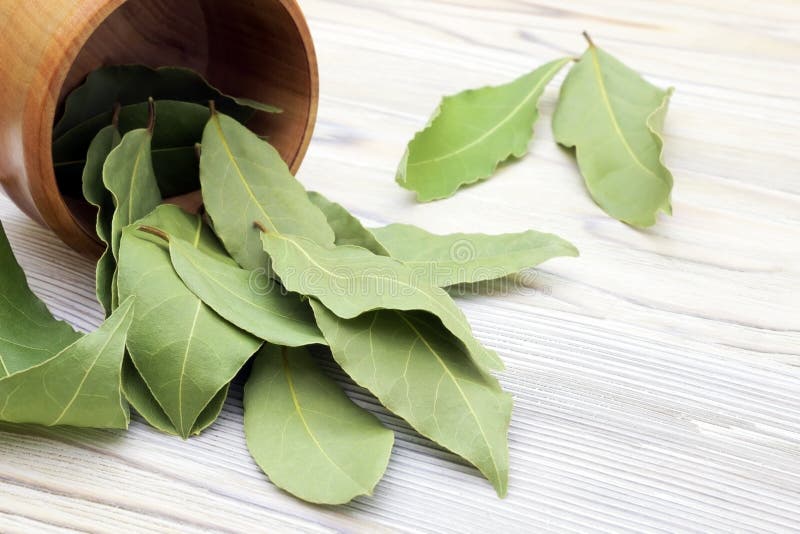 Droge aromatische baaibladeren in een houten kom op de witte houten rustieke lijst Foto van de oogst van de laurierbaai voor de z royalty-vrije stock afbeeldingen Droge aromatische baaibladeren in een houten kom op de witte houten rustieke lijst Foto van de oogst van de laurierbaai voor de z royalty-vrije stock afbeeldingen