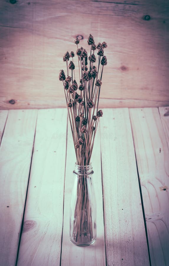 Droge grasbloem op houten achtergrond royalty-vrije stock foto