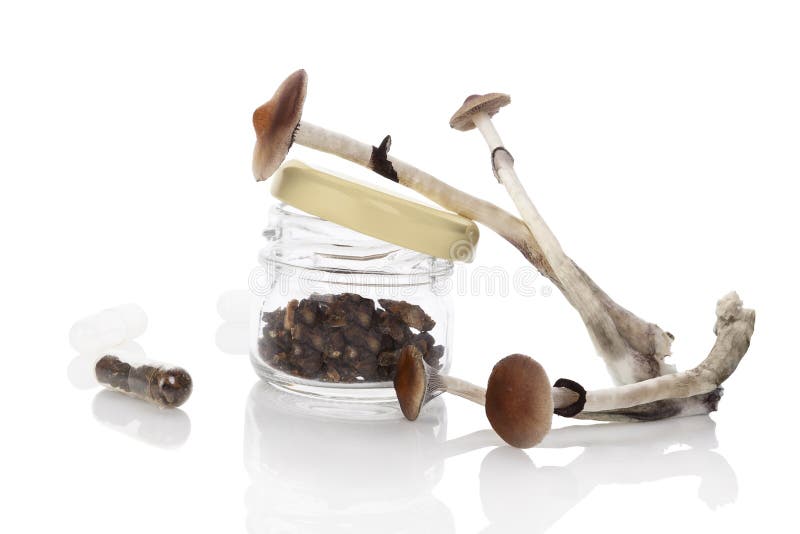 Droge Magische paddestoelen in glaskruik royalty-vrije stock afbeeldingen Droge Magische paddestoelen in glaskruik royalty-vrije stock afbeeldingen