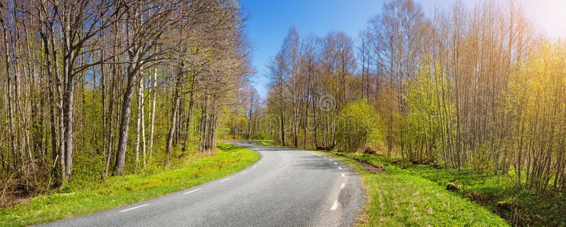 Drogowa panorama na pogodnym wiosna dniu zdjęcia stock Drogowa panorama na pogodnym wiosna dniu zdjęcia stock