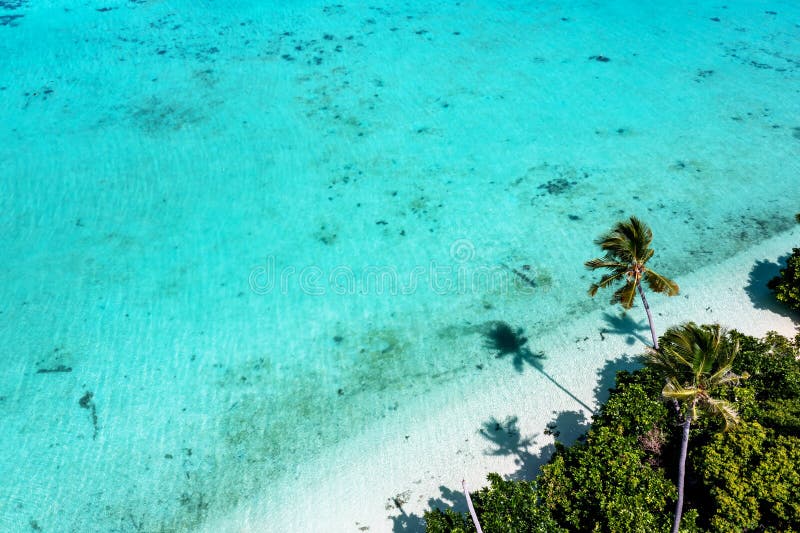 Drone Blick auf die tropische Insel mit kopierter Majaga mit Palmen und türkisfarbenem Meer