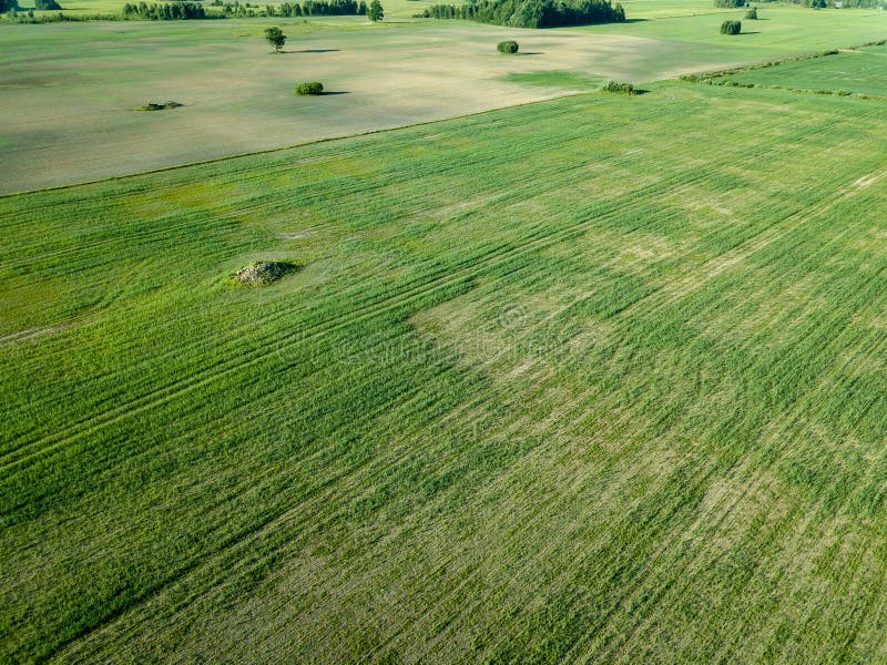 Drone image. aerial view of empty cultivated fields spring day. latvia