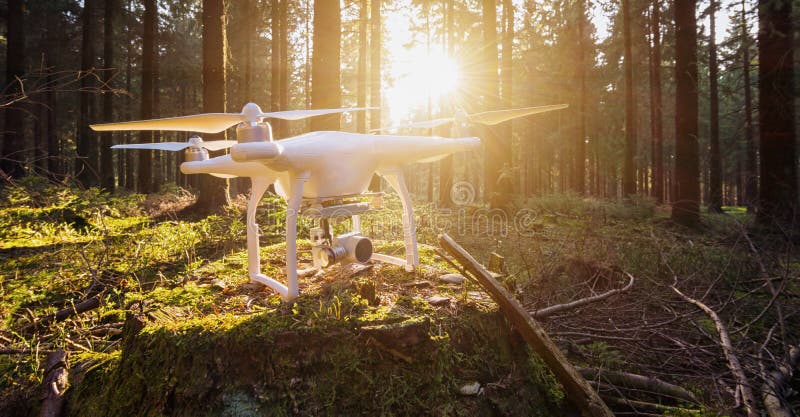 Drone Quad Copter In The Forest