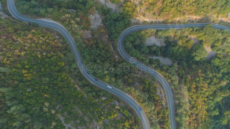Drone suivant trois voitures conduisant devant un camion blanc le long d'une route de forêt de montagne incurvée banque de vidéos
