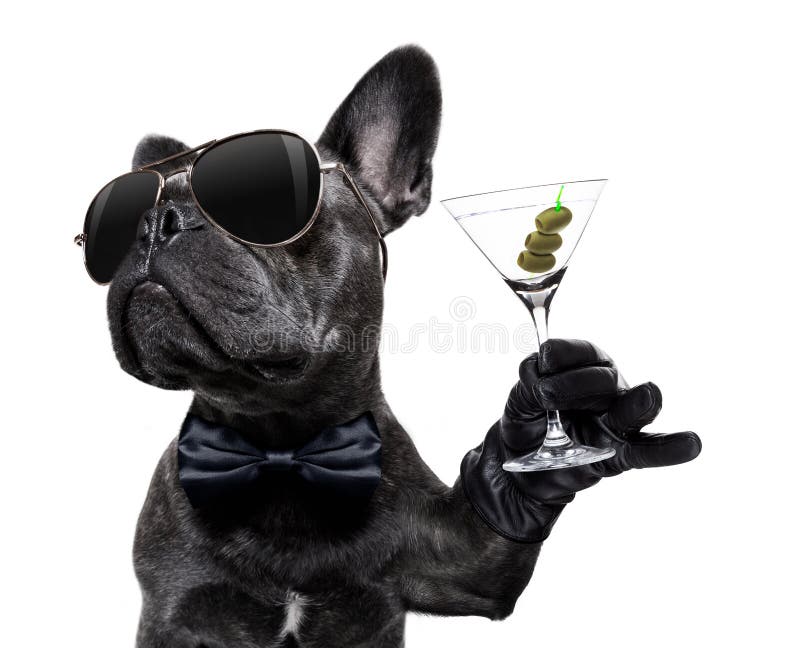 Dronken hond die een cocktail drinken