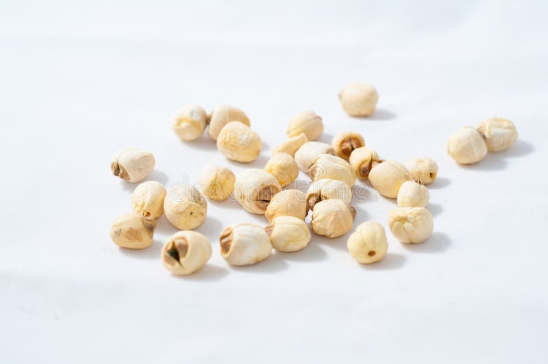 Gedroogde lotuszaadjes royalty-vrije stock fotografie