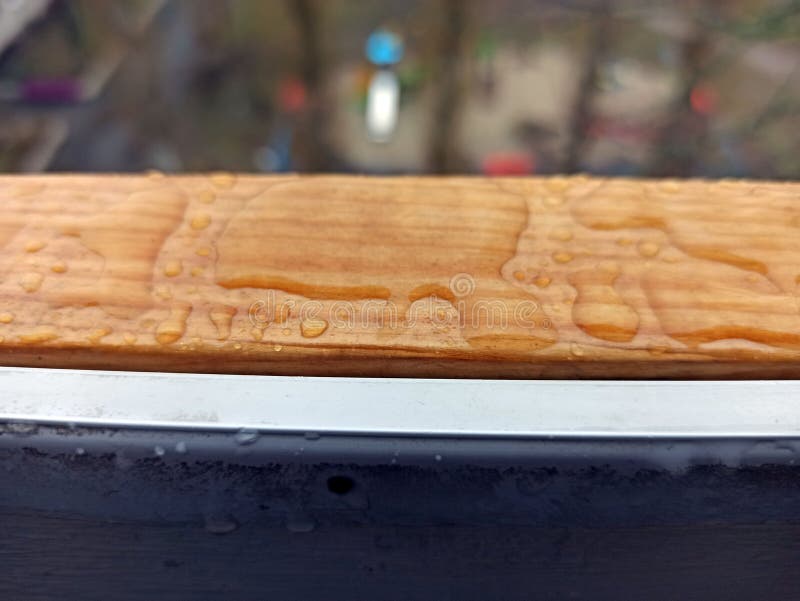 Drop on branch isolated on white background stock photo