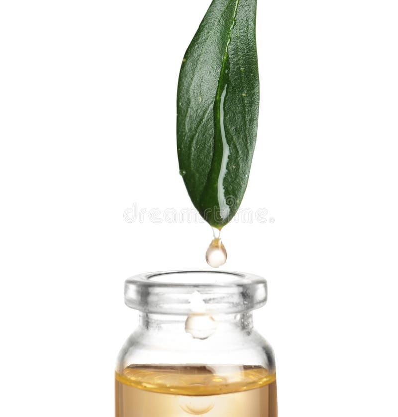 Drop of essential oil falling from leaf into glass bottle