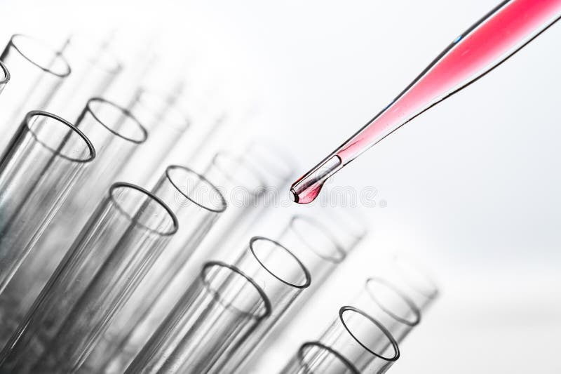 Drop the pink chemicals into the beaker stock photography