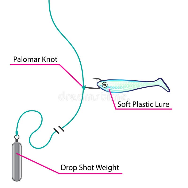 Weightless Rigged Soft Plastic Bait Setup for Bass Fishing Stock Vector -  Illustration of line, paddle: 139839260