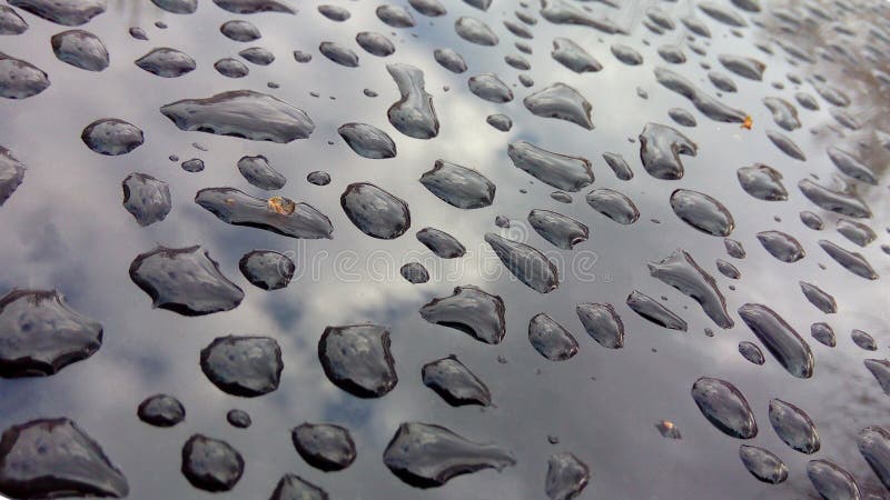 Droppar av vatten p? en glansig yttersida Reflexion av träd i regndroppar royaltyfria bilder Droppar av vatten p? en glansig yttersida Reflexion av träd i regndroppar royaltyfria bilder