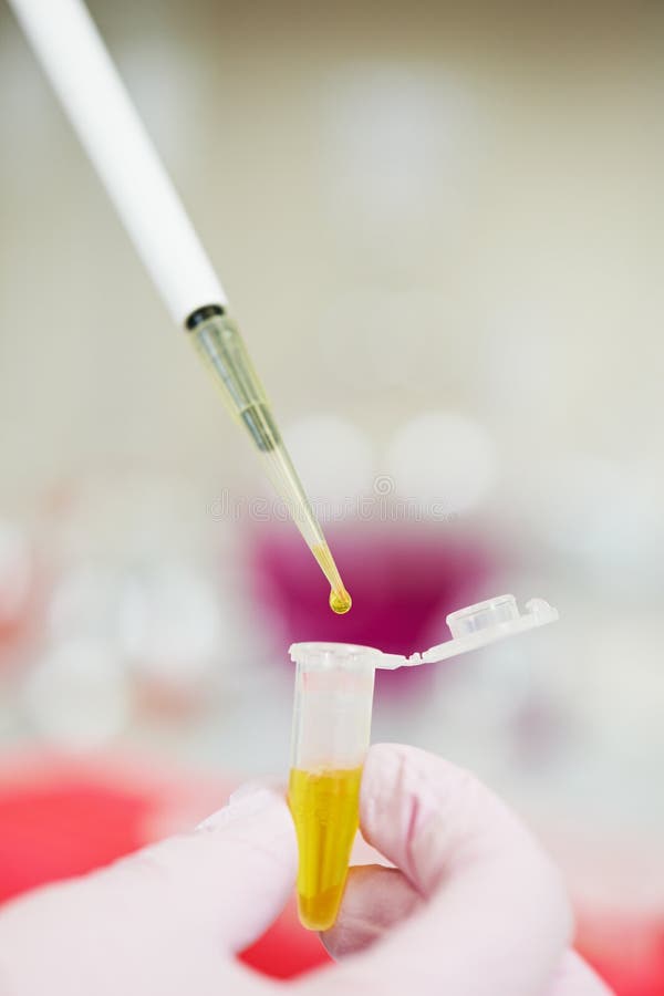Dropper with Drop of Medicine at Laboratory Stock Photo Image of