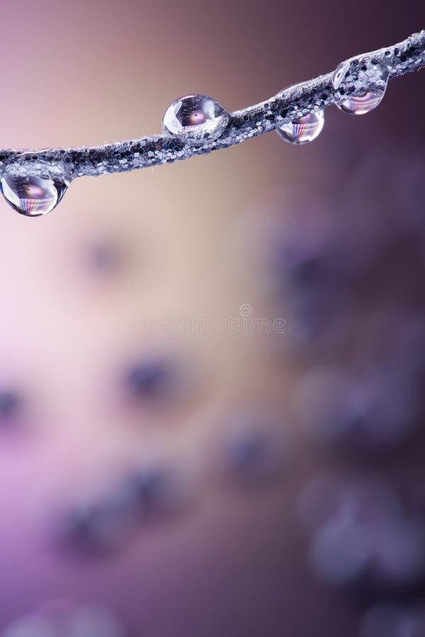 Drops