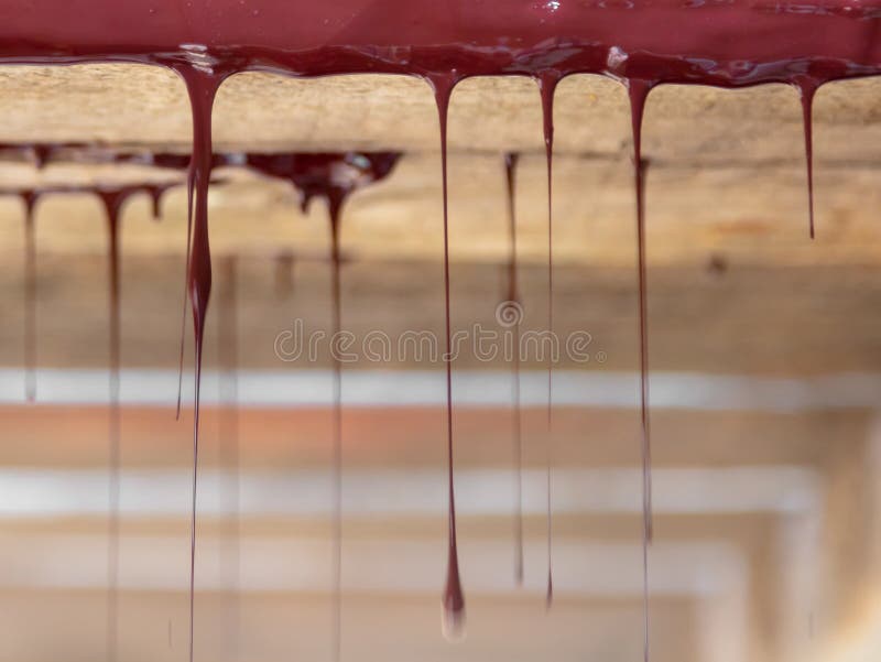 Drops of Brown Paint Dripping from the Wooden Ceiling Stock Photo