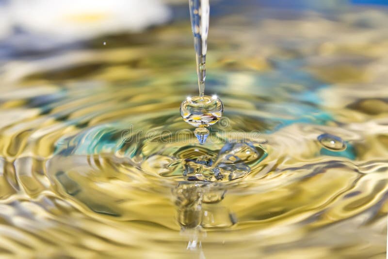 Drops of nature. royalty free stock photos Drops of nature. royalty free stock photos