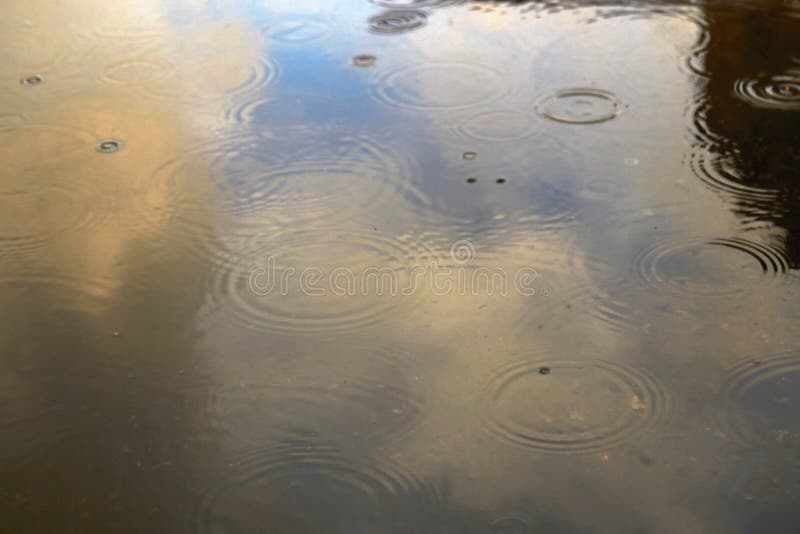 344 Rain Bubbling Stock Photos Free & RoyaltyFree Stock Photos from