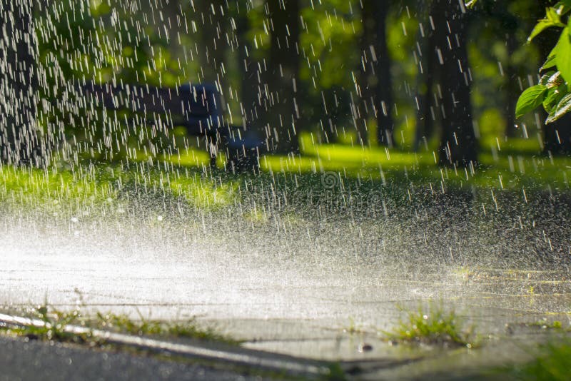 Drops of warm summer rain, falling on the asphalt.