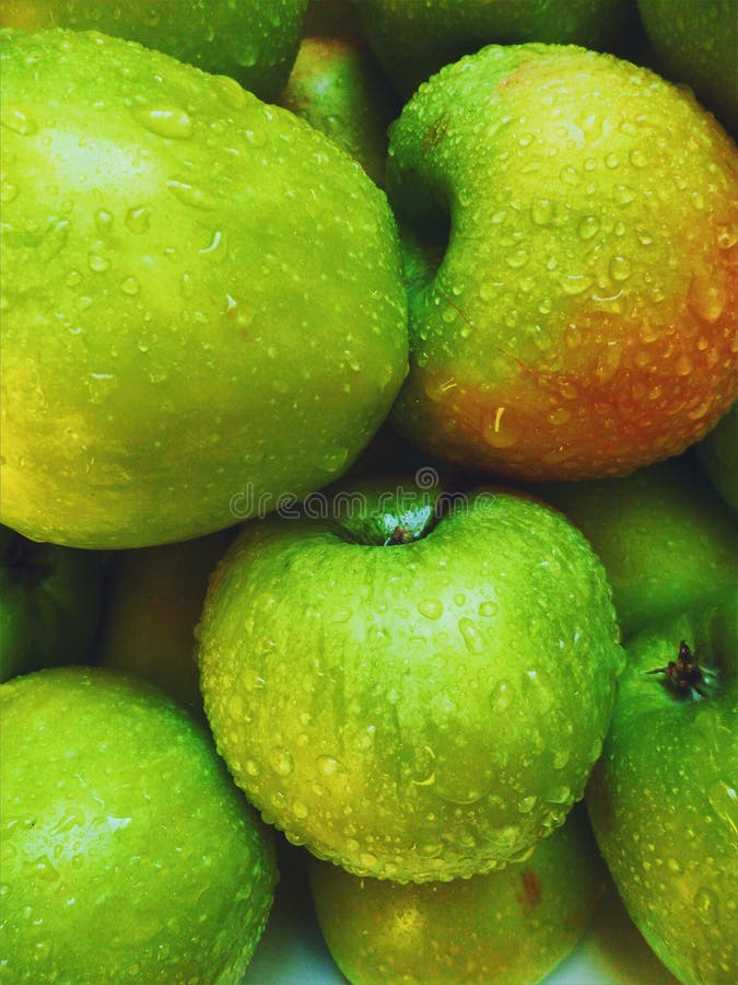 Drops of Water on Green Apple Varieties of Simirenko Stock Photo