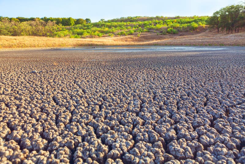 Drought Cracked Lake Bottom royalty free stock photo