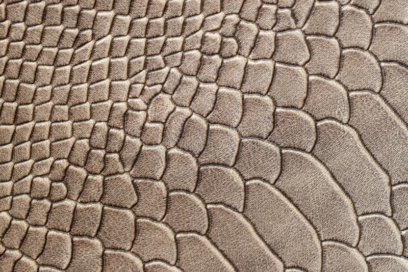 Druck der echten ledernen Nahaufnahme, unter der Haut ein Reptil geprägt, Alligator, Reptil, modischer Druck stockfoto Druck der echten ledernen Nahaufnahme, unter der Haut ein Reptil geprägt, Alligator, Reptil, modischer Druck stockfoto