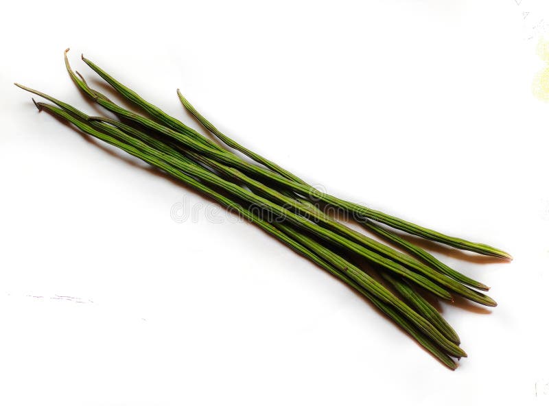 Drumstick Vegetable or Moringa on Display in White Background Stock Image Image of dish
