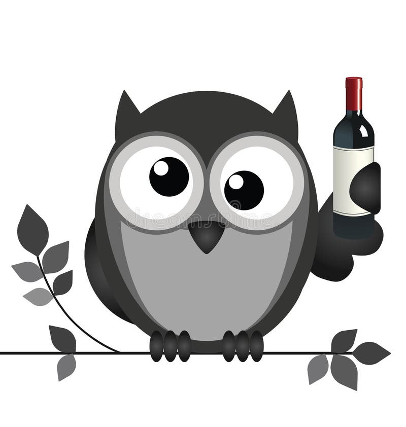 Drunken owl sat on a branch isolated on white background. Drunken owl sat on a branch isolated on white background