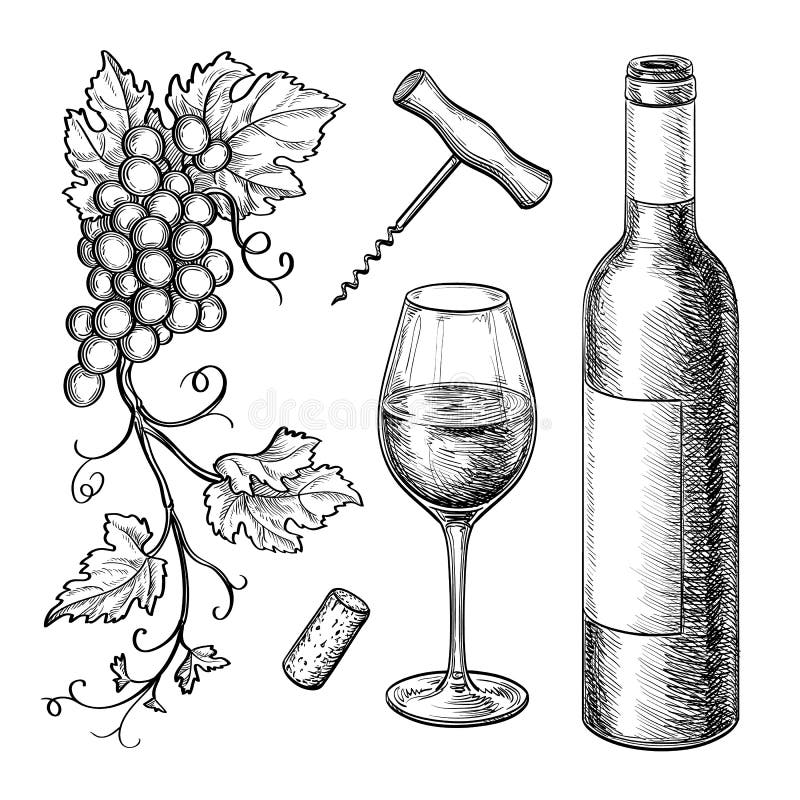 Druvafilialer, flaska, exponeringsglas av vin