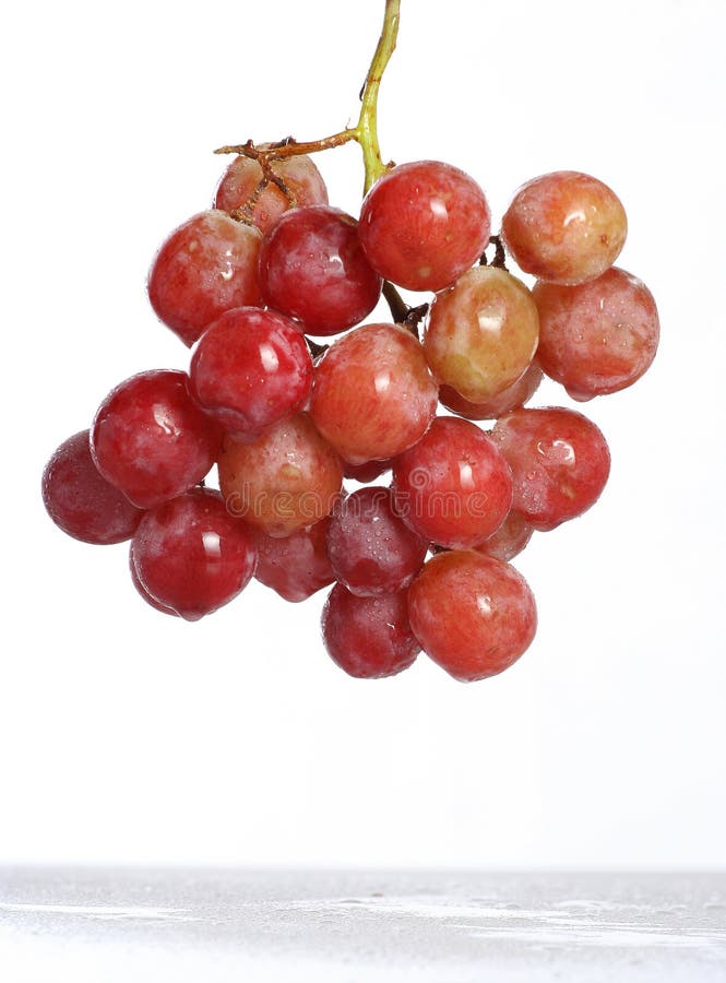 A grape is the non-climacteric fruit that grows on the perennial and deciduous woody vines of the genus Vitis. Grapes can be eaten raw or used for making jam, grape juice, jelly, wine and grape seed oil. A grape is the non-climacteric fruit that grows on the perennial and deciduous woody vines of the genus Vitis. Grapes can be eaten raw or used for making jam, grape juice, jelly, wine and grape seed oil.