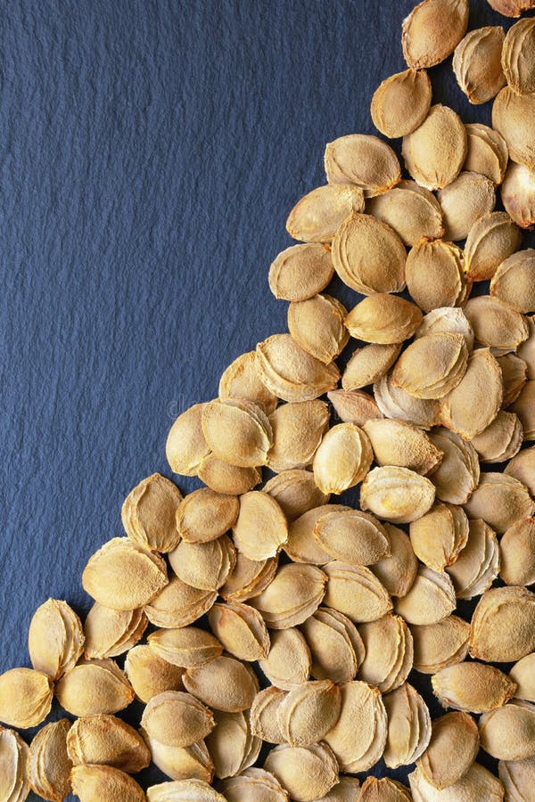 Dry Apricot Stones on Black Background. Copy Space Stock Photo Image