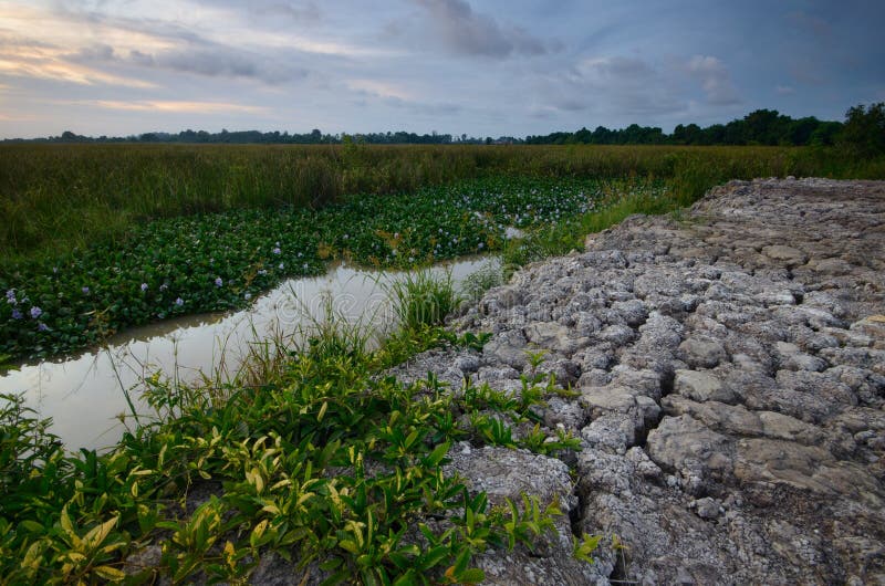 Dry and arid land with failed crops due to climate change and global.