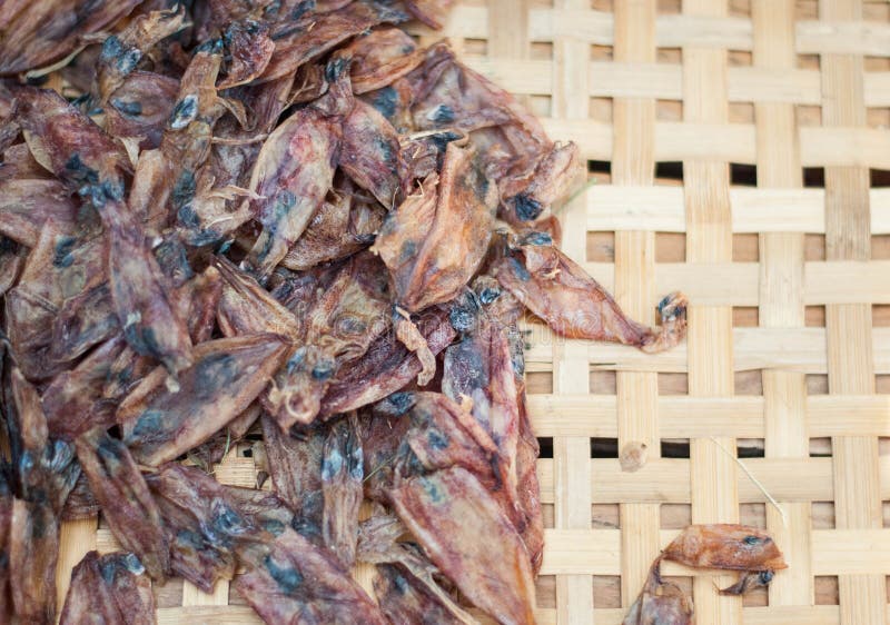 Dry baby squid stock photo. Image of shopping, sales 58060878
