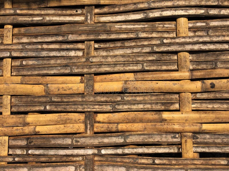 Dry bamboo texture background wall with natural patterns for wallpaper stock photo Dry bamboo texture background wall with natural patterns for wallpaper stock photo