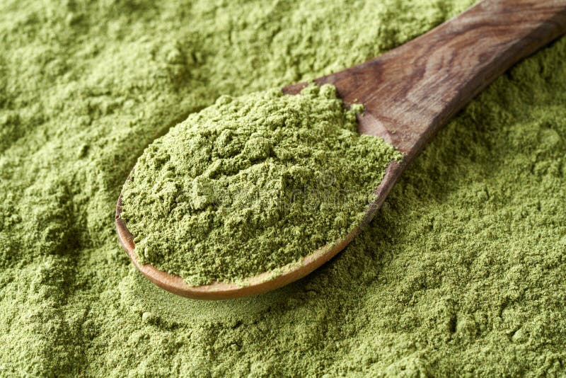 Dry Barley Grass Powder on a Spoon Stock Image - Image of healthy ...